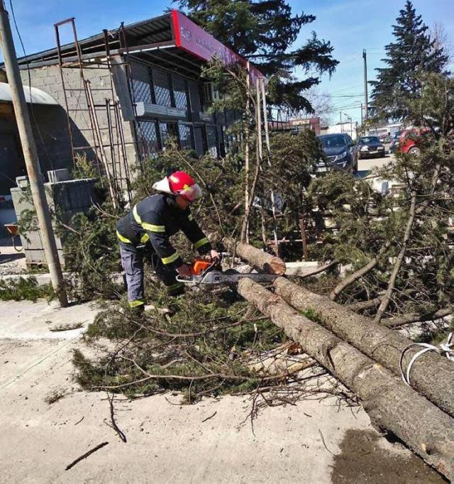 Güclü külək və çovğun Gürcüstanda ciddi fəsadlar törədib