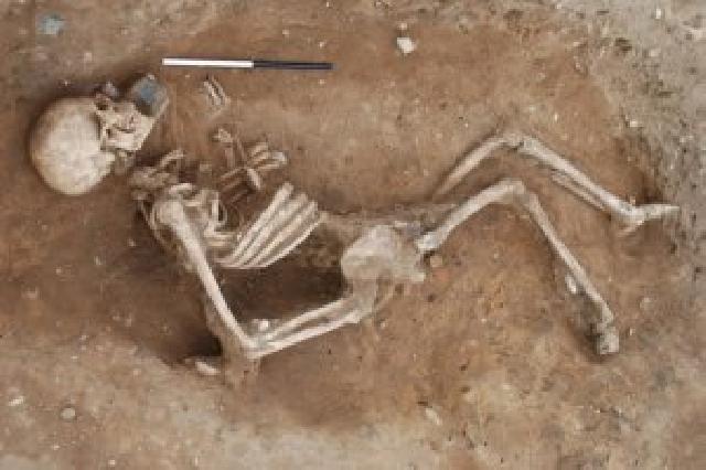İstirahət mərkəzində insan skeleti tapıldı,cinayət işi başlanıldı