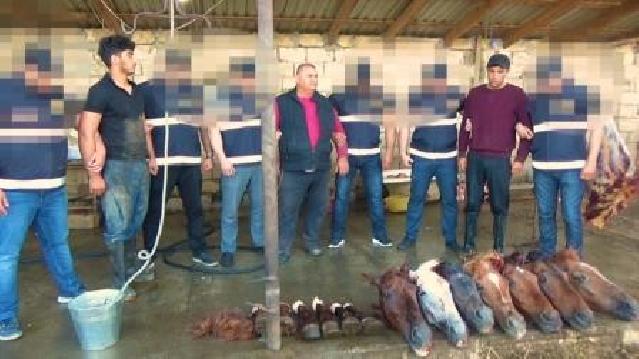 4 ton at ətini Bilasuvardan Bakıya satan cinayətkar dəstə yaxalanıb