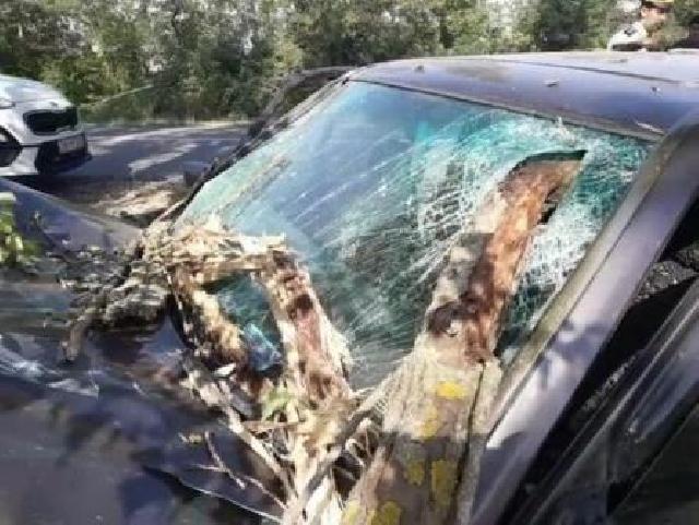 Şabranda “Mercedes” ağaca çırpıldı, iki nəfər öldü