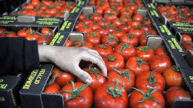Daha 15 müəssisədən Rusiyaya pomidor ixracına icazə verilib