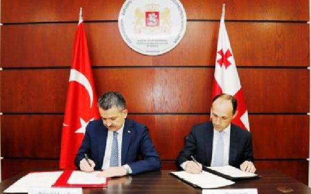 Azərbaycan, Gürcüstan və Türkiyə birgə əməkdaşlığı genişlənir
