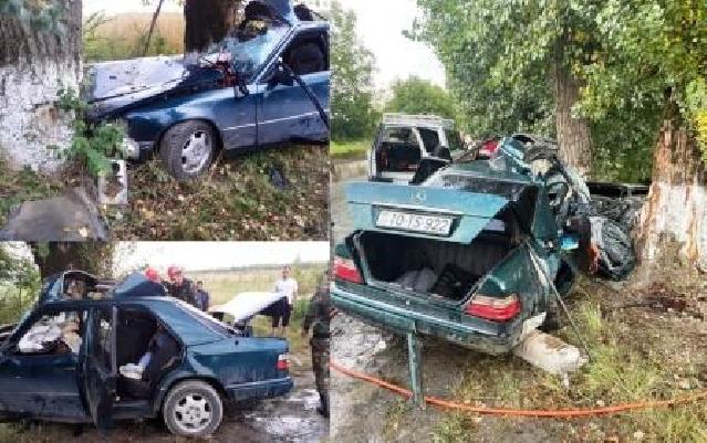 Qubada “Mercedes” ağaca çırpıldı, beş nəfər öldü