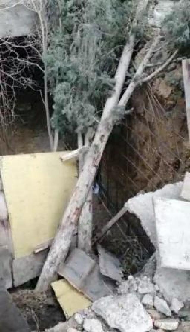 Xırdalanda  11 ağacı aşıran tikinti şirkətinə qarşı cinayət işi açılacaq 