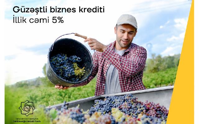 "Yelo Bank"dan illik cəmi 5%-lik kreditlə biznes dəstəyi