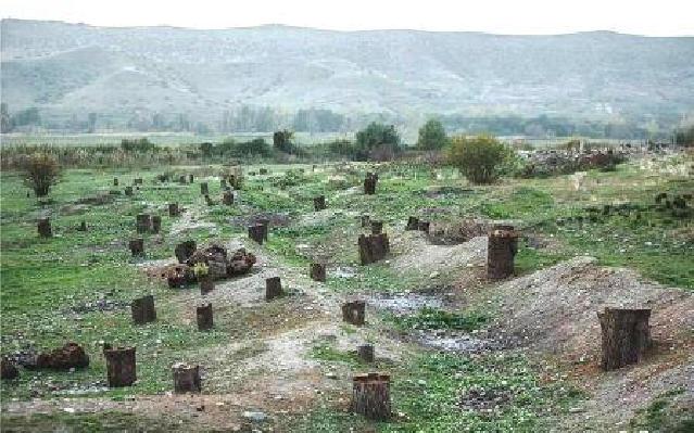 Ermənistan Azərbaycana işğal dövründə 16,2 milyard manat ekoloji ziyan vurub