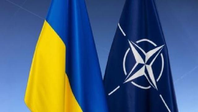 Ukrayna NATO xarici işlər nazirlərinin sammitinə dəvət olunub