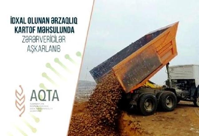 AQTA Belarusdan gətirilən 62 ton kartofun satışına qadağa qoydu