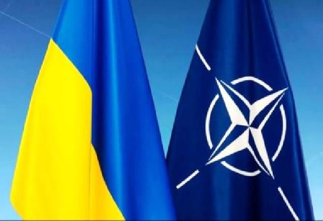 Ukraynanın NATO-ya qəbulu dünya müharibəsi ilə nəticələnə bilər-Bloomberg