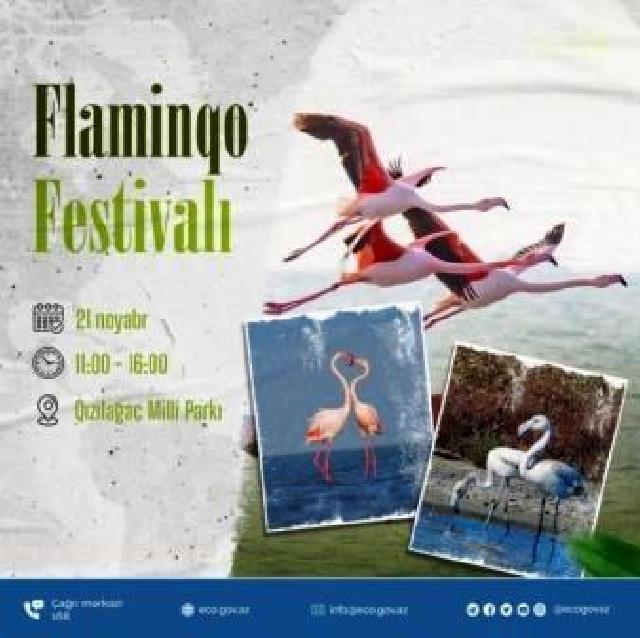 Qızılağac Milli Parkında “Flaminqo festivalı” keçiriləcək
