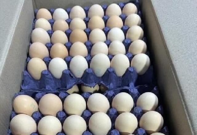 Azərbaycan Rusiyaya daha 36 ton yumurta göndərib