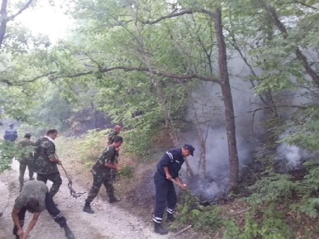 Siyəzən və Şabrandakı meşə yanğınlarının qarşısı alınıb