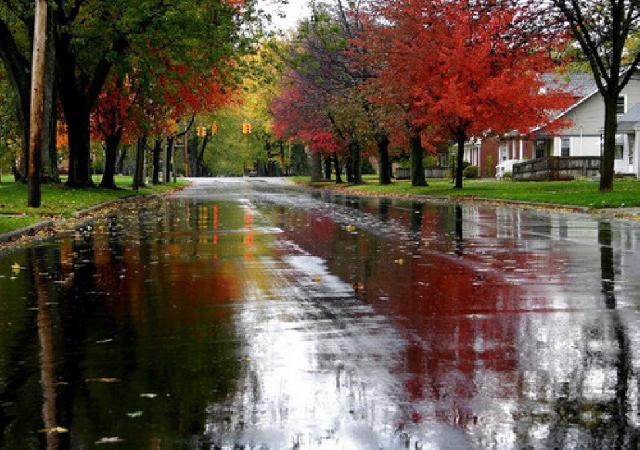 Sabah Bakıda yağış yağacaq, 15° isti olacaq