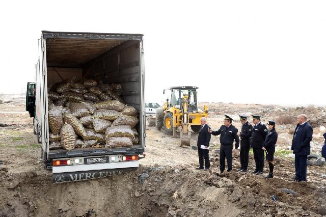 Sümqayıtda 26 ton kartof məhv edildi