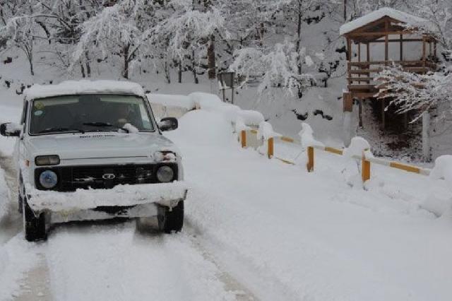 Şimal rayonlarında temperatur-13°-dək aşağı enib 