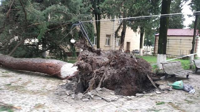 Güclü külək və dolu Zaqatalada ciddi fəsadlar törədib