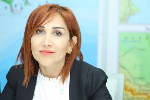 “Özünü qoru, çevrəni xilas et” devizi ilə Media Hərəkatı yaradılıb