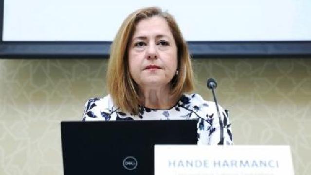 Hande Harmancı: Qarşıdakı üç ay çox kritik olacaq