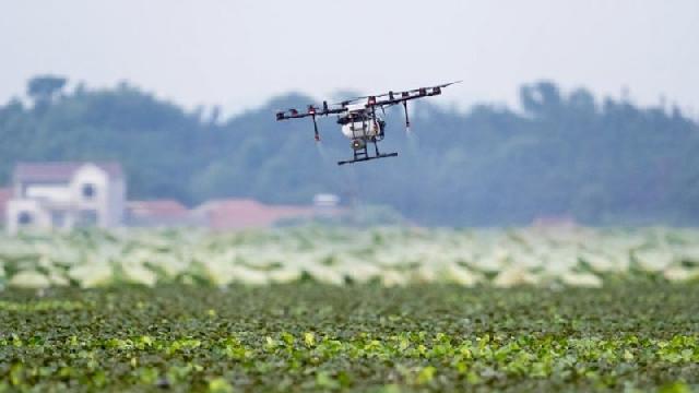 Azərbaycan yeni dronların istehsalına başlayıb