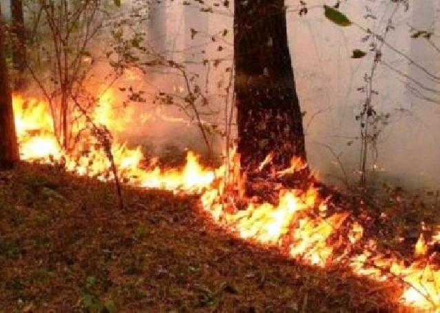 Ağsuda ötən gecədən başlayan yanğın hələ də davam edir