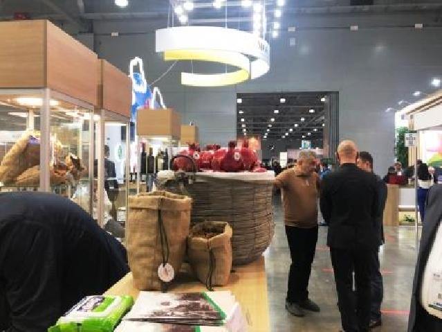 Azərbaycan “WorldFood Moscow” qida məhsulları sərgisində iştirak edir