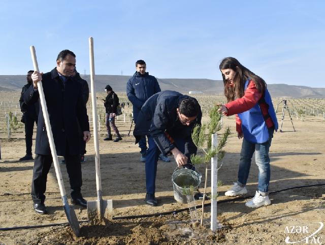 Xocasən gölünün ətrafında ağacəkmə aksiyası keçirilib