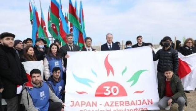 Bakıda Yaponiya-Azərbaycan dostluq ili çərçivəsində ağacəkmə aksiyası keçirilib