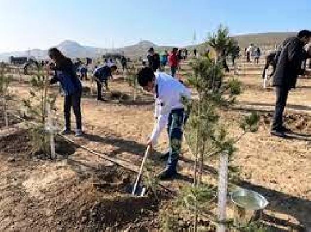 Xocasən gölü ətrafında yaşıl koridorun yaradılması işləri davam edir