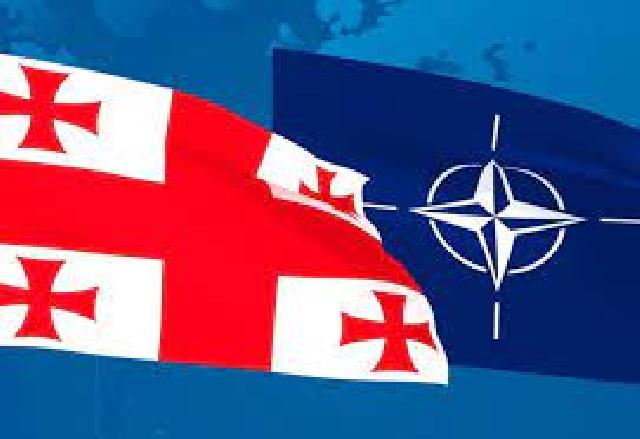 NATO Gürcüstana xüsusi status verdi