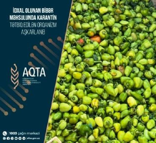 AQTA İrandan gətirilən 34 ton bibərin satışına qadağa qoydu